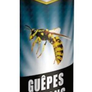 INSECTICIDE FOUDROYANT