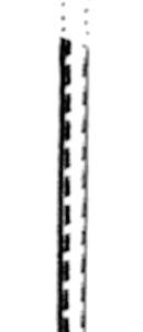 SANDOW 10 120CM