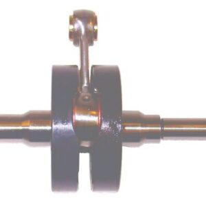 VILEBREQUIN PGT FOX