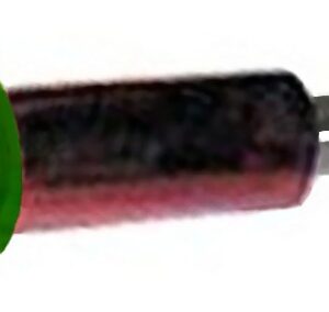 VOYANT VERT